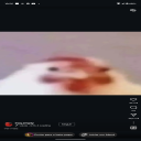 TohsFBB