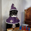 mycatisawizad