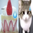 chiakidearest's avatar