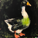 gander