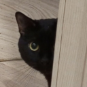 hipchan55