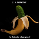 ivisektor