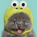 meowsaur