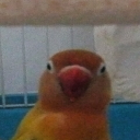 omid777