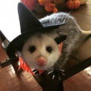 possumWizard