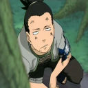 shikamarcus