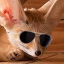 tewgytaylor