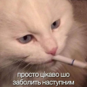 vlbrsk