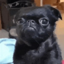 Lolomgxd5